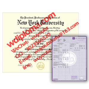 紐約大學畢業證書-文憑&成績單-Diploma from New York university-diploma-transcript